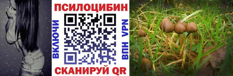 Псилоцибиновые грибы GOLDEN TEACHER  где продают наркотики  Выкса 