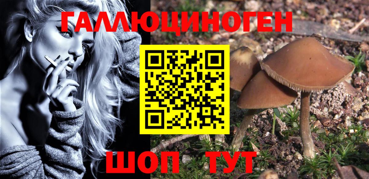 Выкса  Псилоцибиновые грибы Magic Shrooms  Вход с VPN 