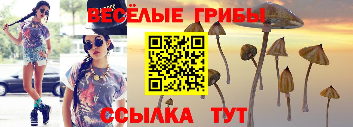 Галлюциногенные грибы мухоморы Выкса
