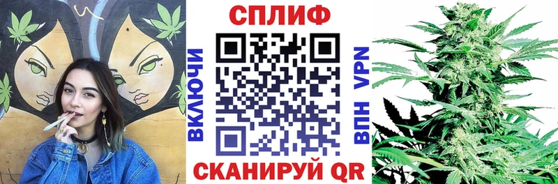 Канабис OG Kush  закладка  Выкса 